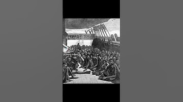How Africans were treated in the colonial times.#Africans #viral