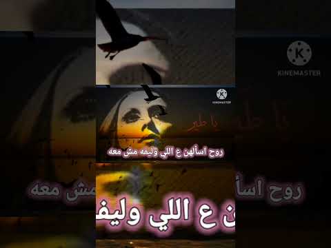 يا طير فيروز ج١ 