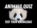 Animal world quiz  how many can you answer 100 questions