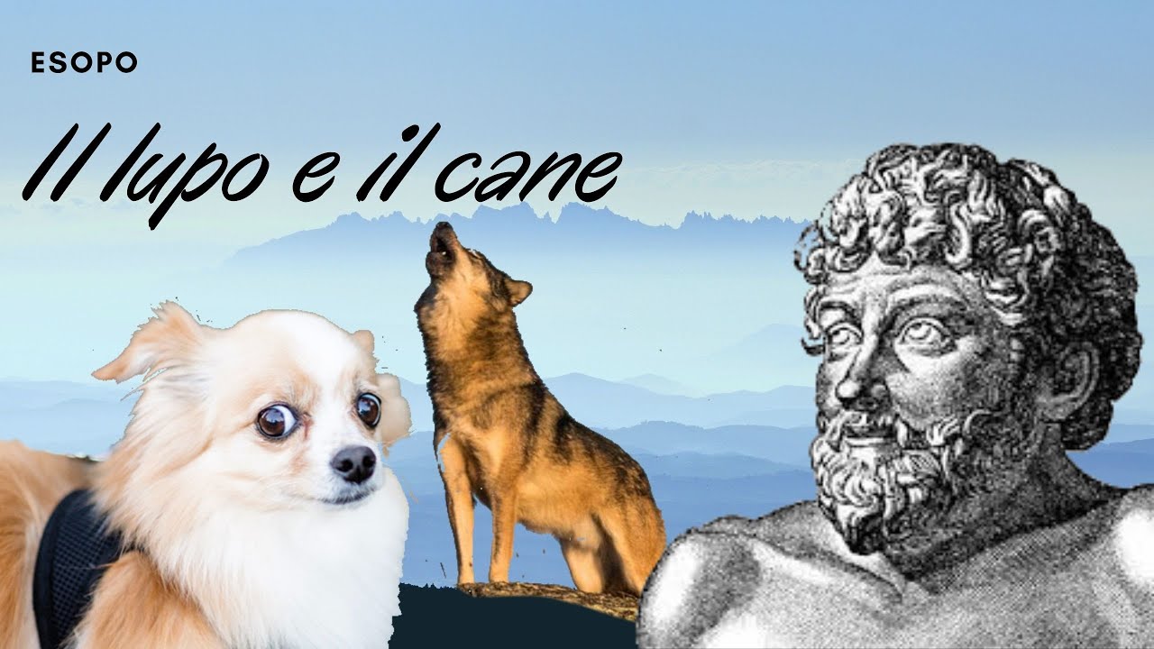 Il Lupo e il Cane (Esopo) YouTube Il Lupo e il Cane (Esopo) YouTube