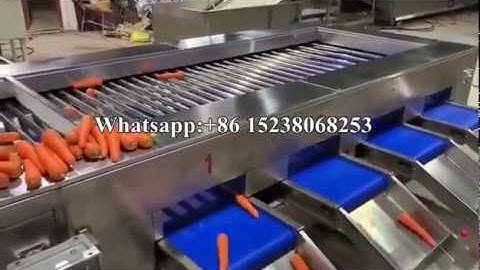 Roller Rotation Carrot sorting machine/ cherry tomato grading machine/ apple sorter machine