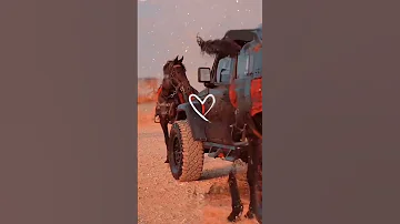 نبني احلام العمر بعد الشقاق 