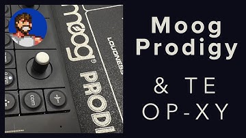 Moog Prodigy & TE OP-XY (None more black)