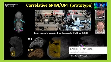 OPenT and mesoscopic open-source imaging