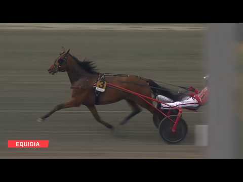 Queer Fish - Sweden Cup 2019 - Solvalla - 25/05/19 - Queer Fish - Sweden Cup 2019 - Solvalla - 25/05/19