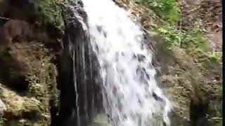 Grupo Nectar En Vivo La Noche De Setiembre