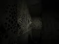 My bedroom walls are... changing. 😨 #AIhorror #trypophobia #scary #creepy #unsettling