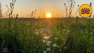 6 hours of sound and healthy sleep to the sounds of the evening field.