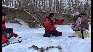 ПОПАЛИ НА ГОРБАЧЕЙ В КОРЯЖНИКЕ!!!Крупный окунь! Рыбалка! Ловля на безмотылку!