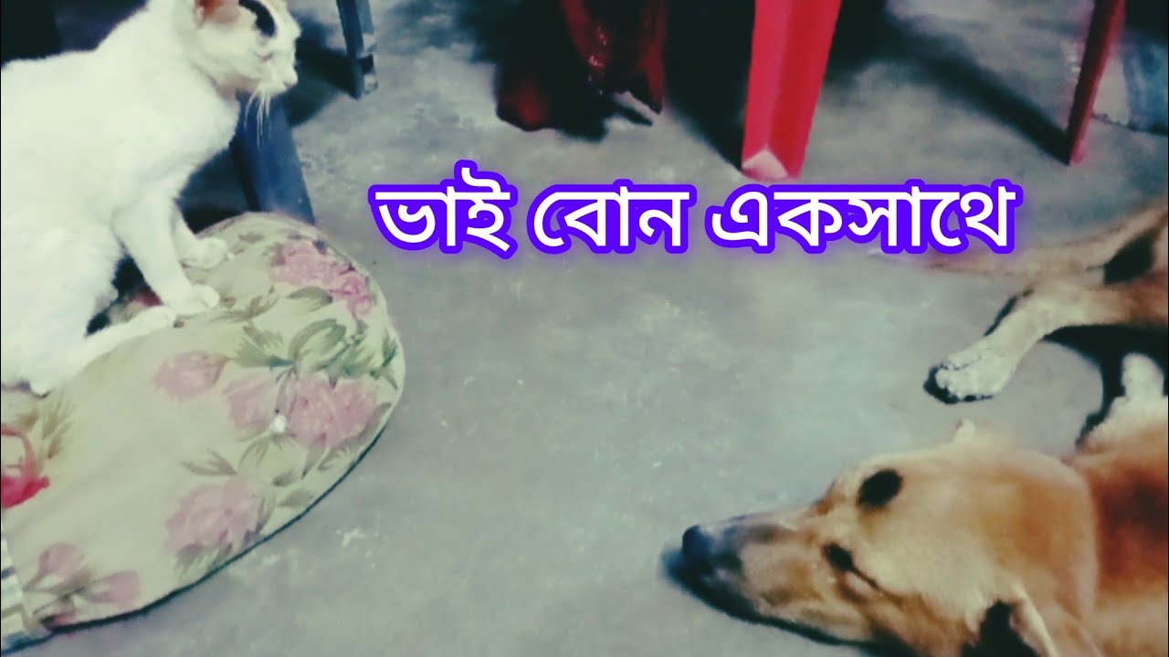 অসুস্থ মিনুকে লালু আপন করে নিল