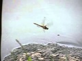 Замедленная съемка полета стрекозы (240 к/с)