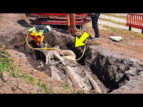 A Bulldozer Operator in Colorado Was Digging in a Reservoir When He Found Something Horrifying!