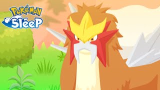 HOW TO PREPARE FOR ENTEI RESEARCH - Pokémon Sleep Research screenshot 5