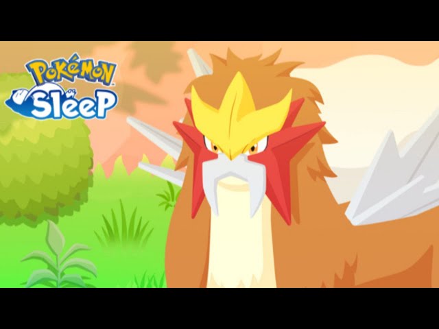 HOW TO PREPARE FOR ENTEI RESEARCH - Pokémon Sleep Research class=