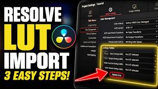 How to enable Resolve LUT import for quick color style updates - Easy Tutorial How to enable Resolve LUT import for quick color style updates - Easy Tutorial