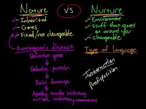 nature-vs.-nurture---part-2