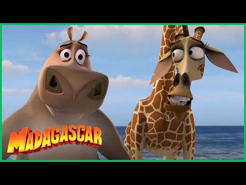 DreamWorks Madagascar em Português, Momentos engraçados de Gloria