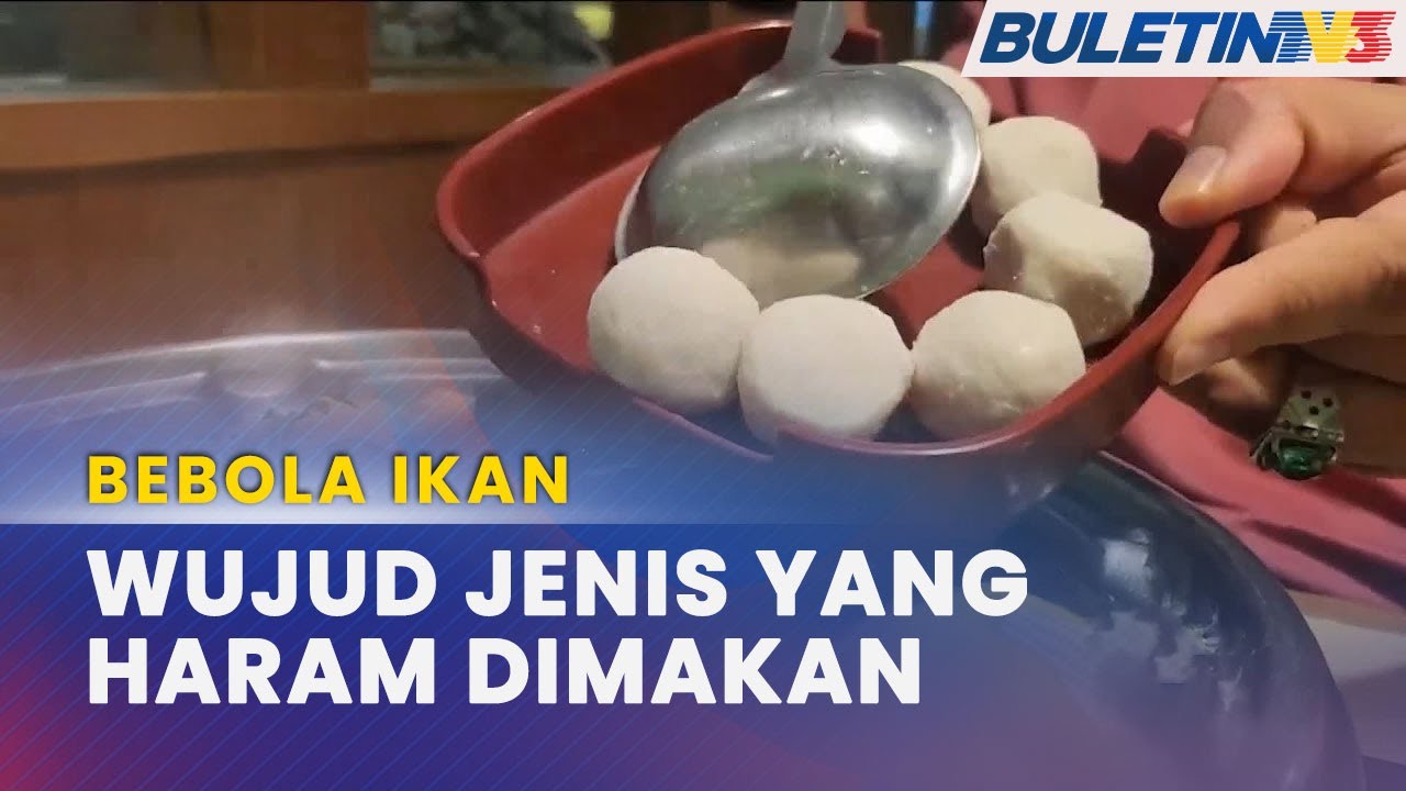 BEBOLA IKAN | Haram Jika Mengandungi Plasma Darah Haiwan