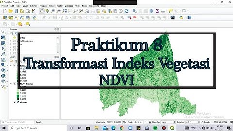 Bagaimana Cara Transformasi Indeks Vegetasi menggunakan NDVI dan RVI pada software QGIS?
