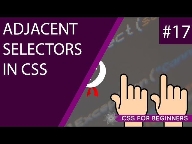 CSS Tutorial For Beginners 17 - Adjacent Selectors