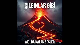 Çılgınlar Gibi