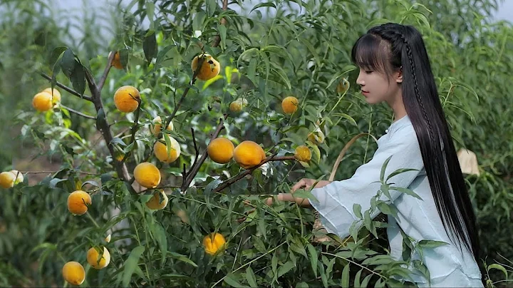iced can of yellow peaches 黄桃罐头：炎炎夏日，来罐冰镇黄桃罐头怎么样？丨Liziqi Channel - 天天要闻