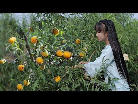 iced can of yellow peaches 黄桃罐头：炎炎夏日，来罐冰镇黄桃罐头怎么样？丨Liziqi Channel