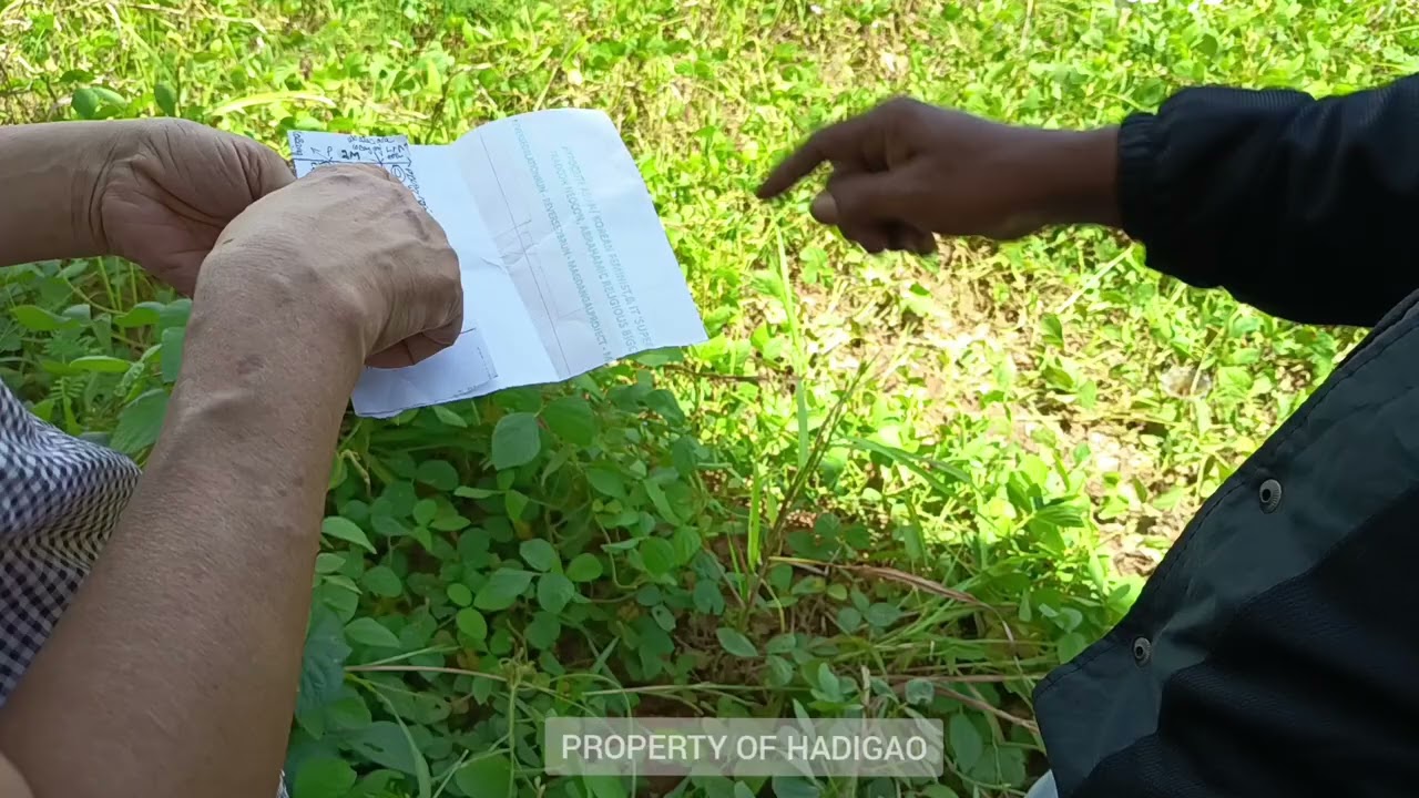 Vlog Magnolia Tenjo bulan lalu - renovasi yang tertunda