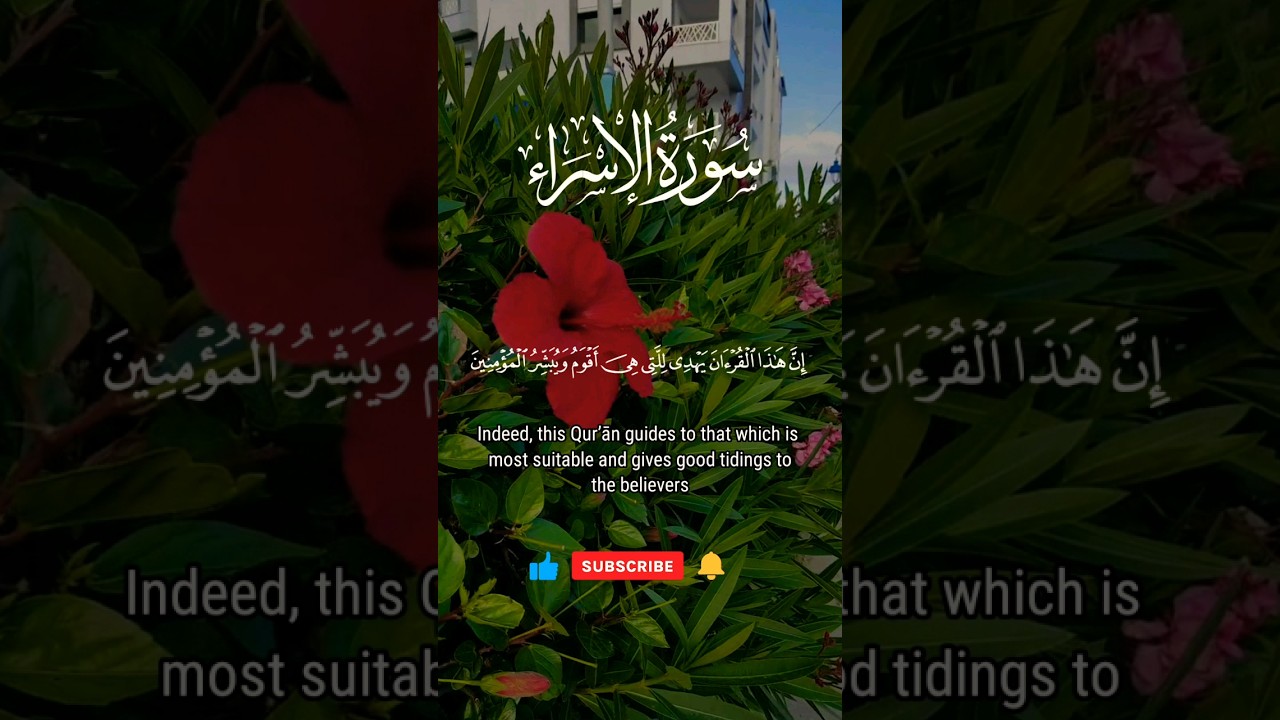 Beautiful Quran recitation  #samialquranonlineclasses #explore #quranicsurahs #quran