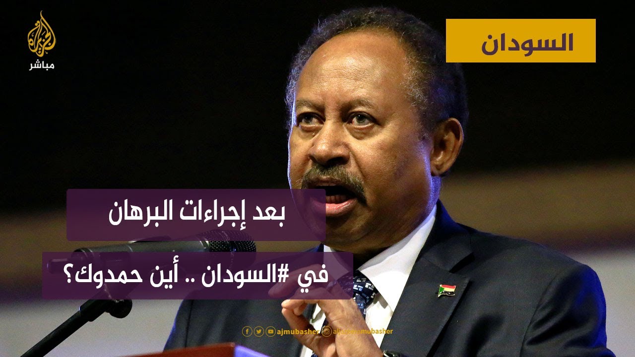 حركة جيش تحرير السودان: السودان أمام أزمة حقيقية والحل في إجراء حوار سوداني