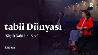 Tabii Dünyası Küçük Dahi İbn-I Sina 5. Bölüm
