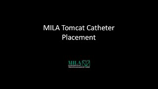 Tomcat Small Animal Urinary Catheter Tomcat Small Animal Urinary Catheter