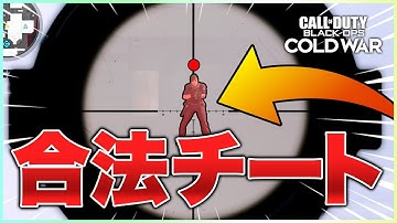 【COD:BOCW】スモークバグを利用した合法チート(ウォールハック)がヤバいwww【ラビハン実況】