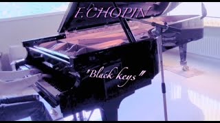 F.CHOPIN : Black keys - Etude op.10 no.5 ( classical piano )
Compositeur français dorigine polonaise ( 1810 - 1849 )
French composer with polish origins
Mon interprétation personnelle F.CHOPIN : Black keys - Etude op.10 no.5 ( classical piano )