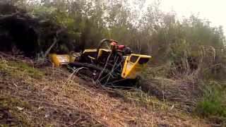 Remote control bush hog