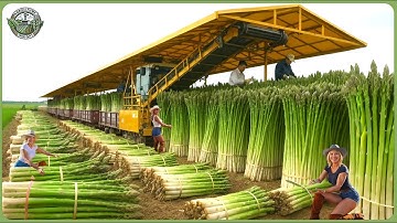 Modern Agriculture Machines on Another Level – Farmers Haul 680 Million Tons In Biggest Harvests