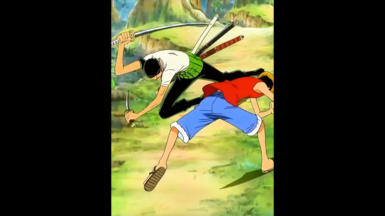 Roronoa Zoro vs Monkey D. Luffy - One Piece