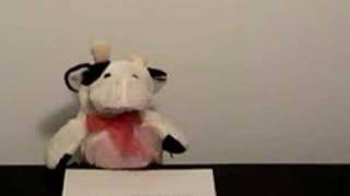 Felt Up Newsbrief