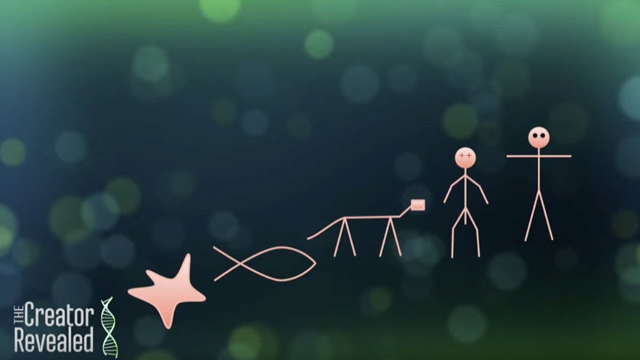 11 - “Alternatives to the Biblical Creation” - The Creator Revealed - YouTube