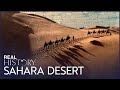 Sahara the largest desert on earth  journeys to the ends of the earth  real history