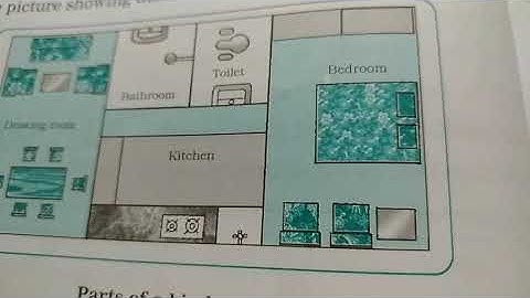 STD 2 EVS UNIT 2 CHAPTER 7 MY HOME PART 2