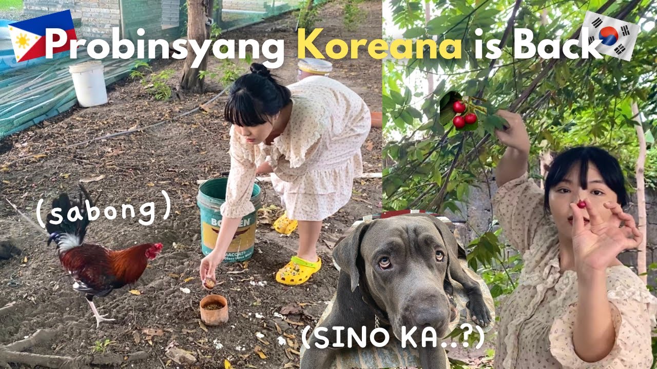 Back to Province Life in the Philippines 🇵🇭 First Day sa Pinas !