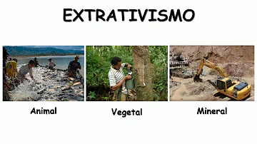 Quais são os produtos do extrativismo animal?