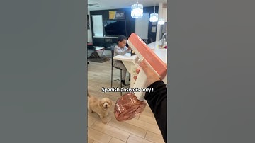 Best way to learn Spanish part 83 #shorts ￼