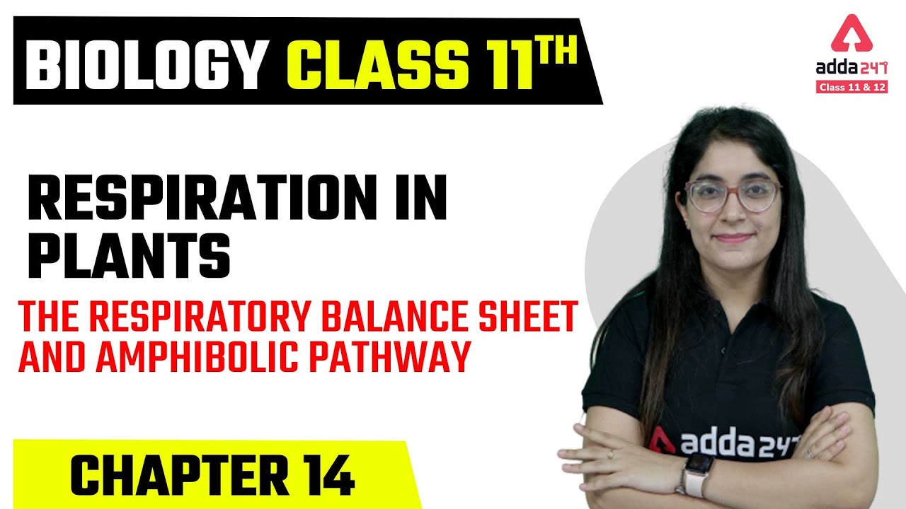 Class 11 Biology Chapter 14 Respiration in Plants Class 11