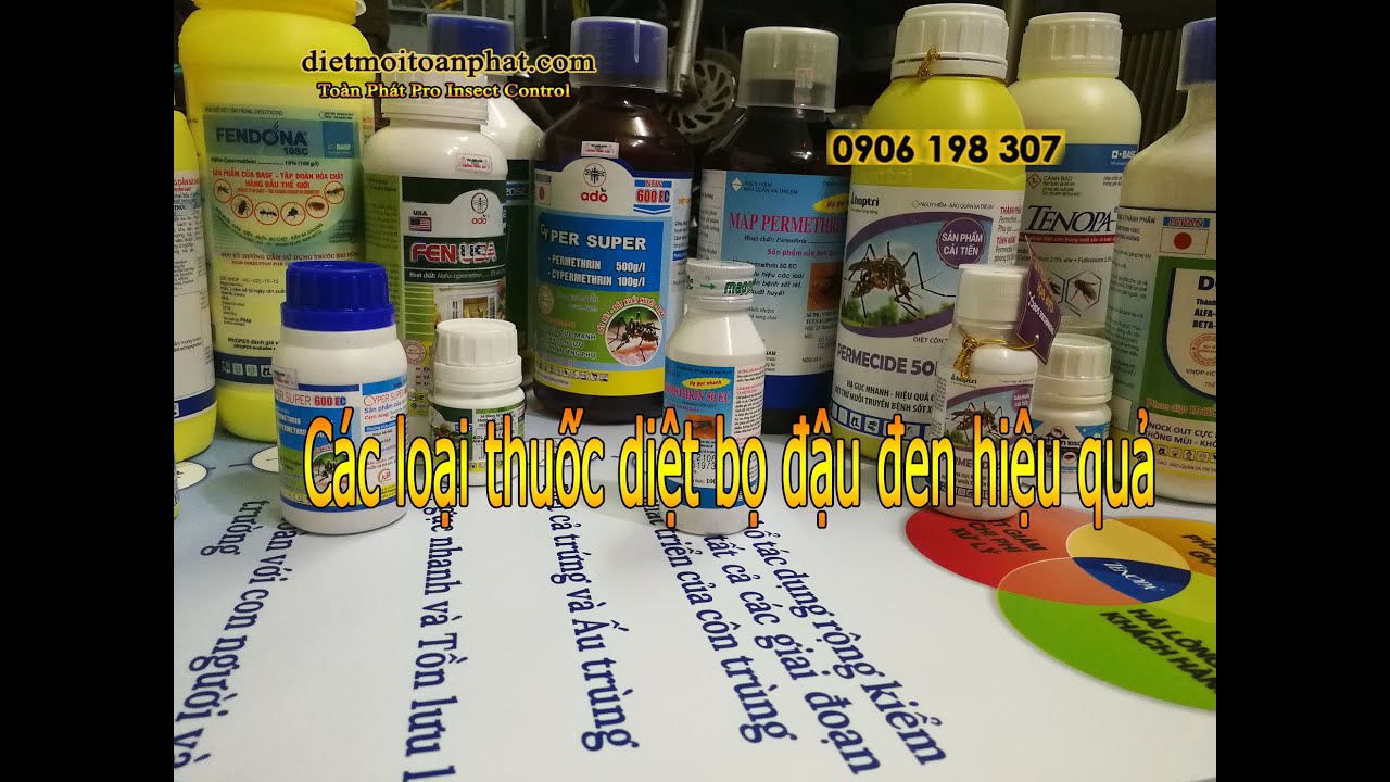 Thuốc diệt bọ Đậu Đen hiệu quả - Diệt côn trùng Toàn Phát