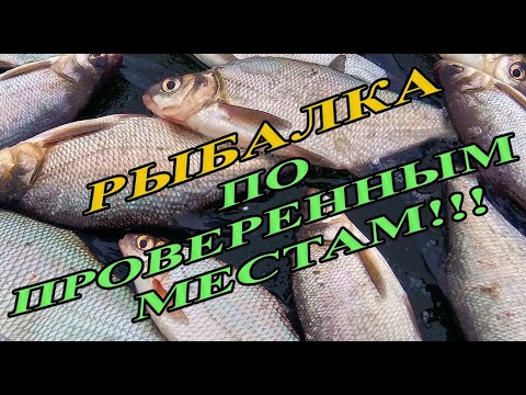Видео: Беларусийн Лосвидо нуур дээр амарна