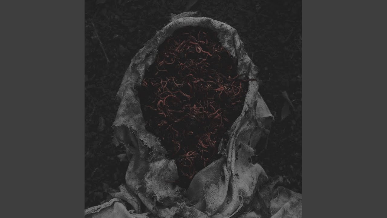 Guarda Cryptæ su YouTube Guarda Cryptæ su YouTube