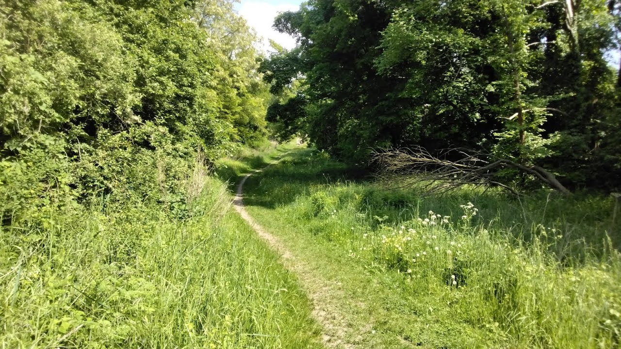Kleine Wanderung auf den Bienitz