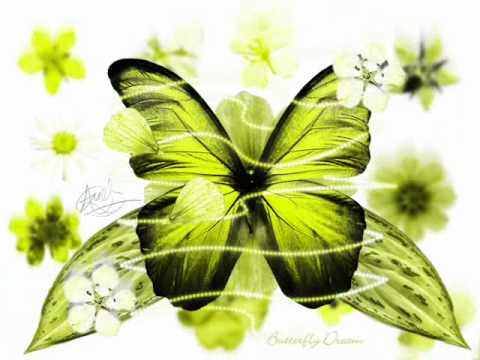 اي هذا الوداع 